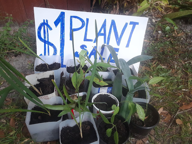 Plant Sale