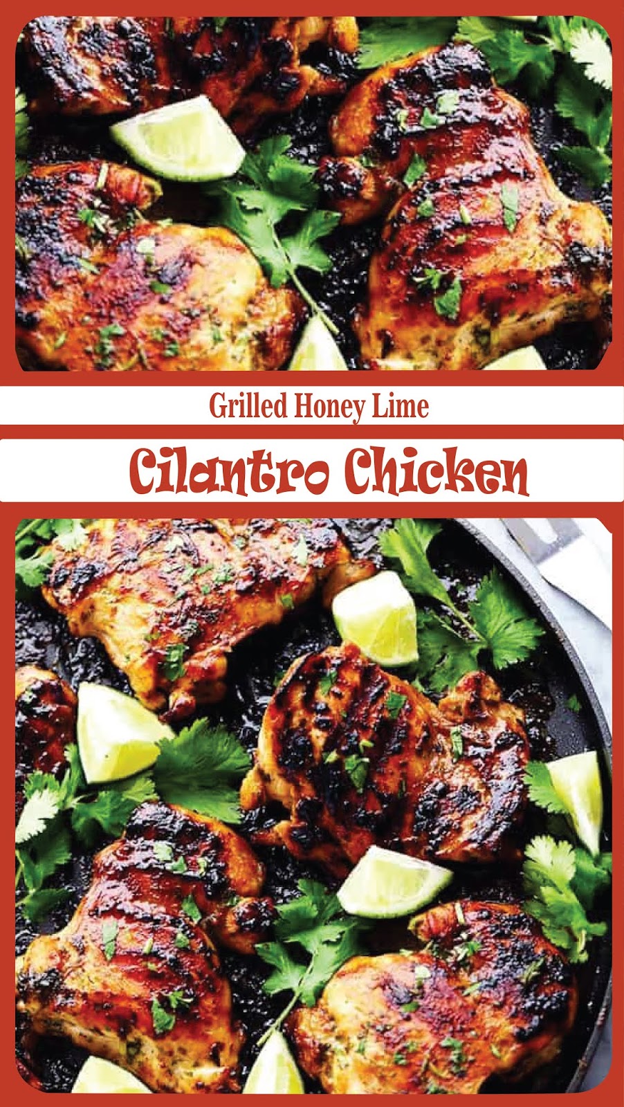 Grilled Honey Lime Cilantro Chicken Recipe Spesial Food