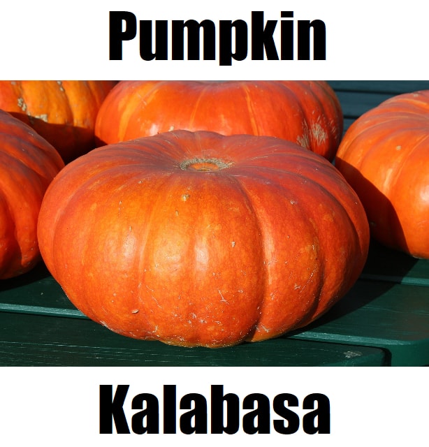 Pumpkin in Tagalog