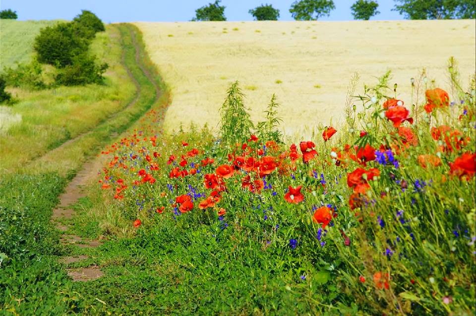 BLOGUL lui GĂBU' martie 2014