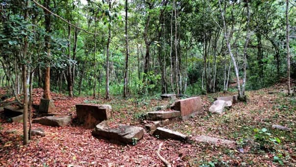 තුරුලතා වලින් වටවූ - කඳාල රජමහා විහාරය 🌿☸️🙏🌳 (Kandala Rajamaha Viharaya) - Your Choice Way