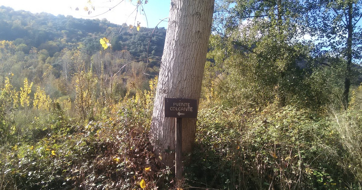 Comentarios sobre el Bierzo Del puente colgante de Villaverde de la