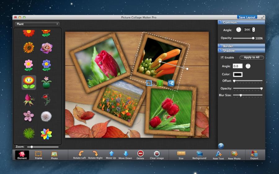 photo collage maker free download for windows 7