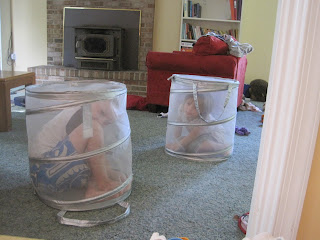 Children in laundry baskets