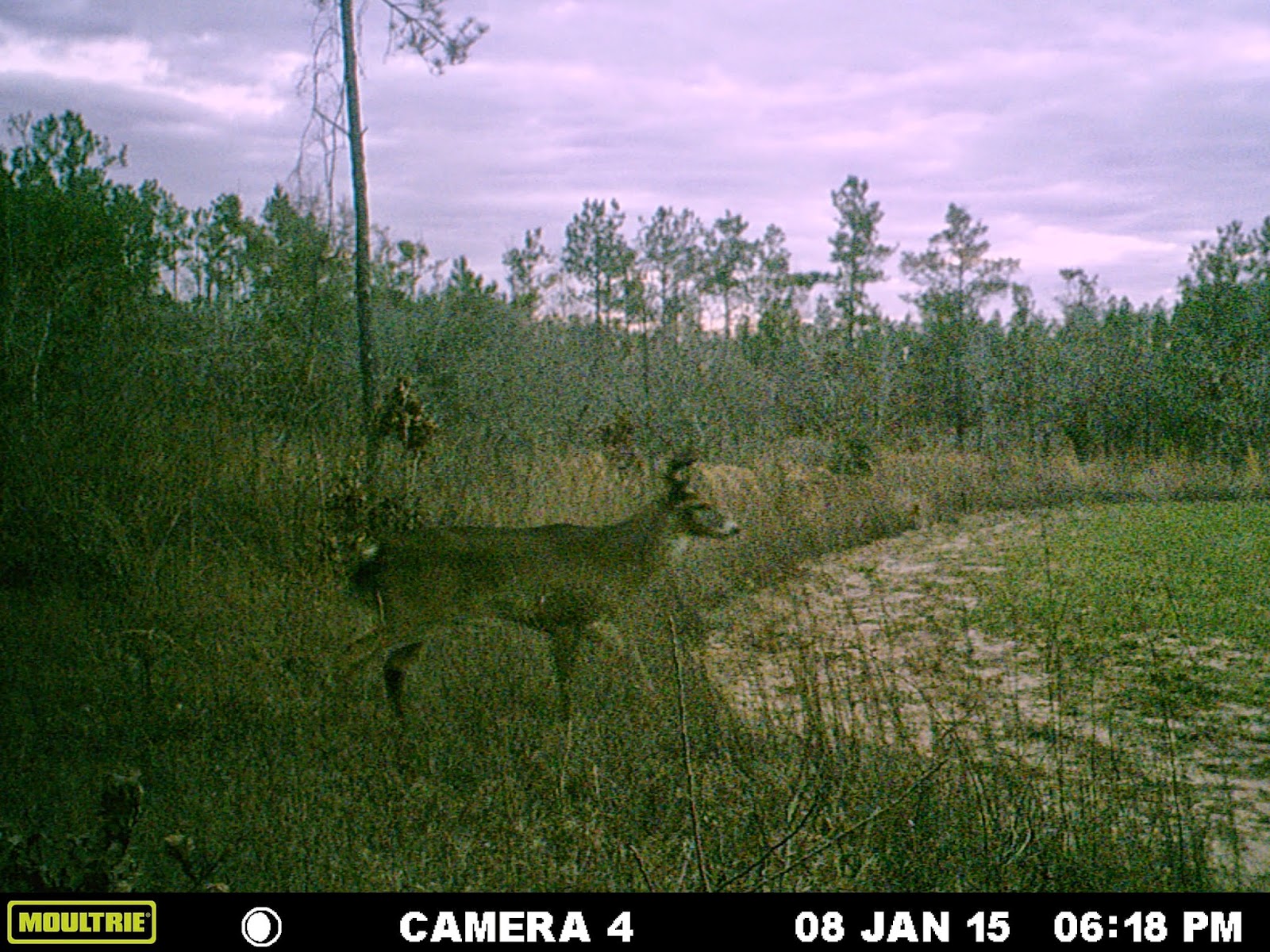 Autauga Creek Hunting Club