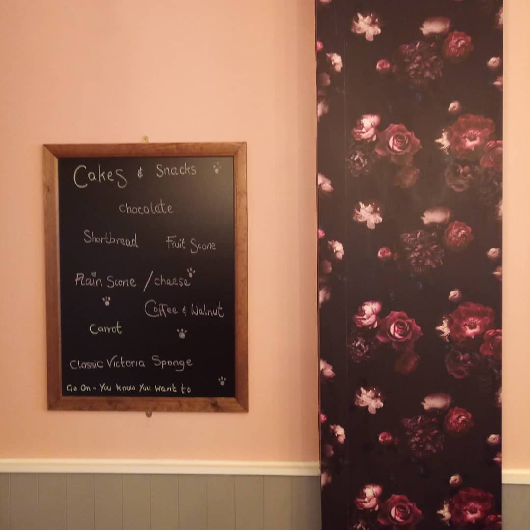 THE MAD CATTER CAT CAFE, Eastbourne - Restaurant Reviews, Photos & Phone  Number - Tripadvisor