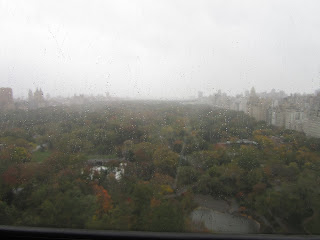 UNDÉCIMO DÍA-29 Octubre: HURACÁN SANDY. - Desayuno en Nueva York y un Paseo por Washington (1)