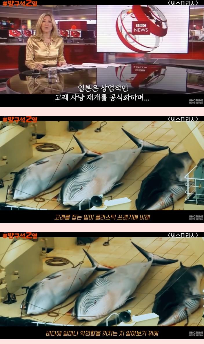 일본 돌고래 학살의 배후 기업 - 꾸르