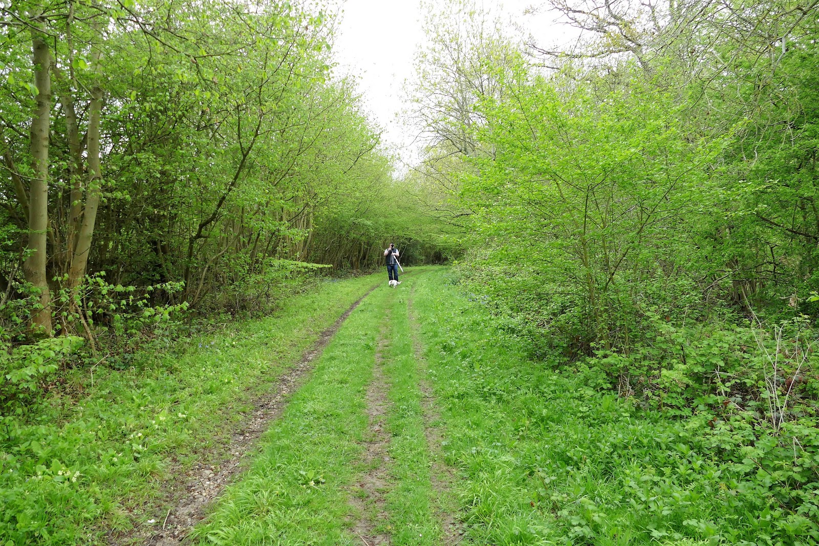WALKING WITH THE MEDWAY WANDERER My walk this morning in Upper Halling