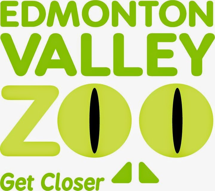 Zoo Jobs Zoo Veterinarian