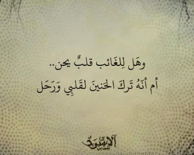 shof_90ec3670edf2ba5