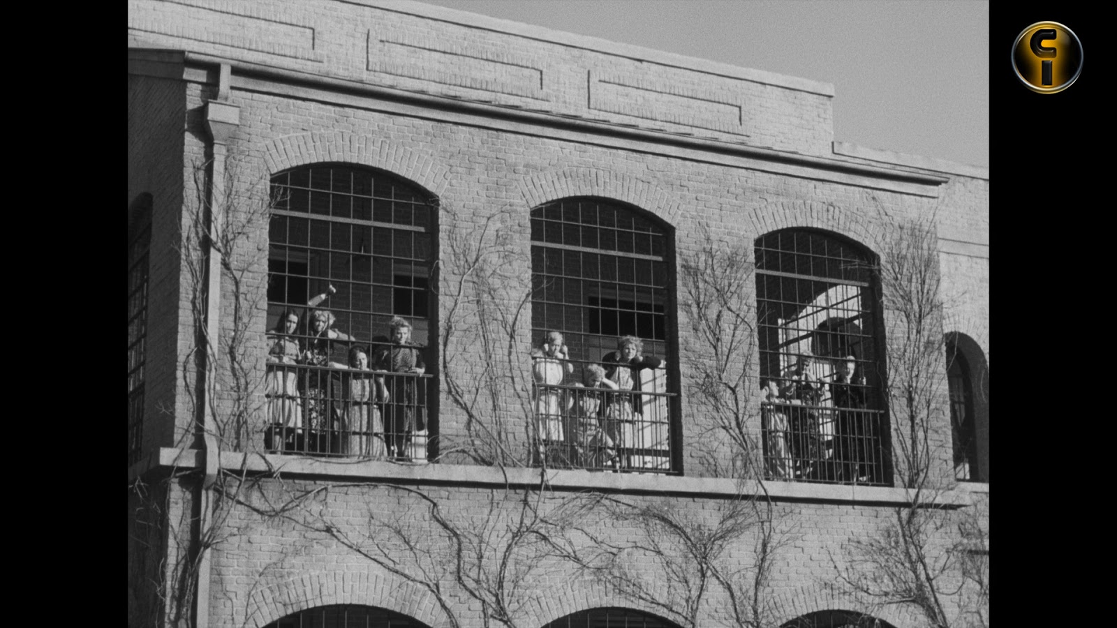 CULTURALMENTE INCORRECTO "The Snake Pit" Una mirada compleja al