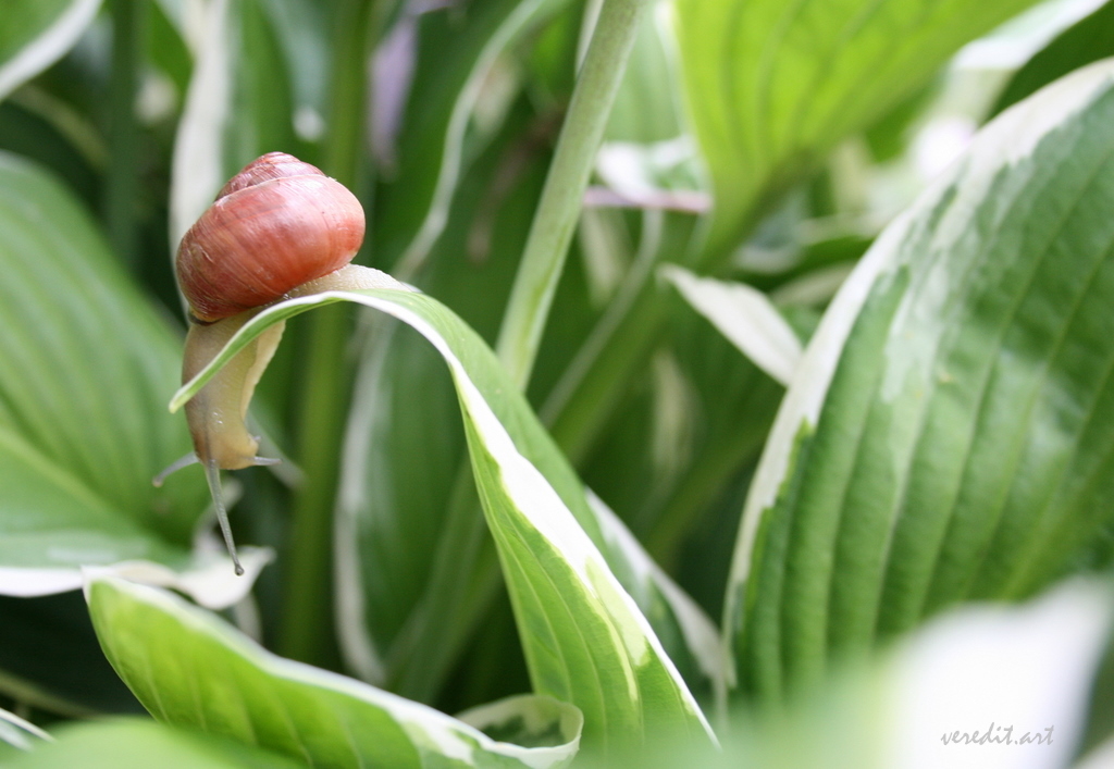 Kinder Gedichte Welt Juni 2011