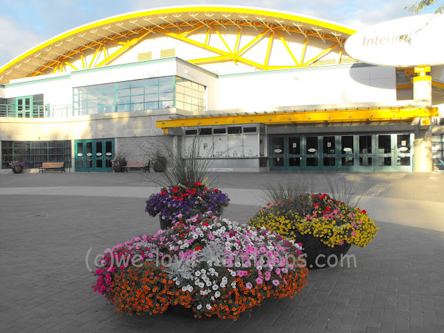 Huge planters filled with multicolored flowers greet us at the arena