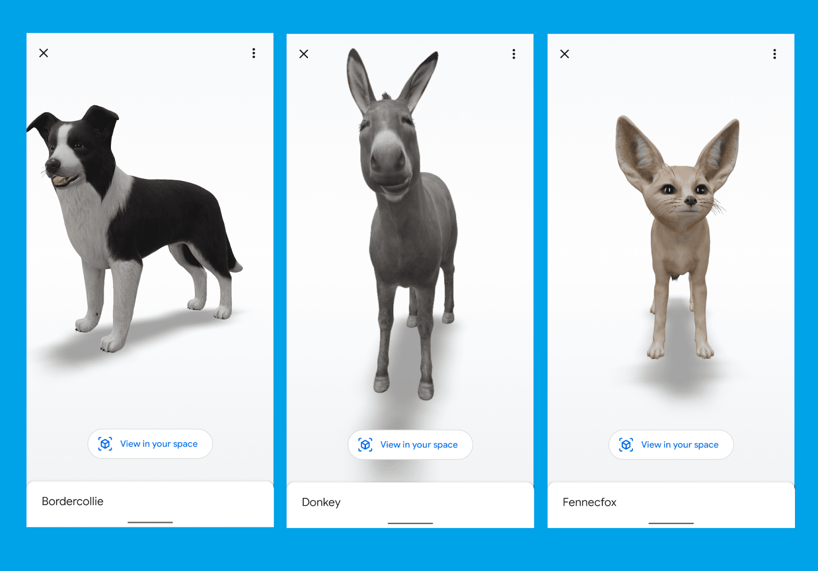 How to View Google 3D Animals in Your Mobile \ AR Feature 