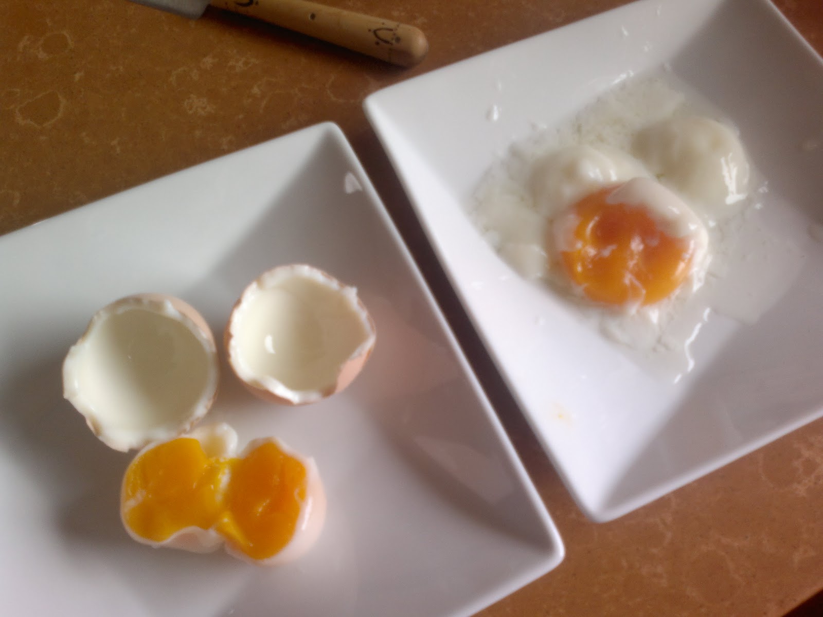 So Sous Vide A vacuum packed cooking adventure In search of the