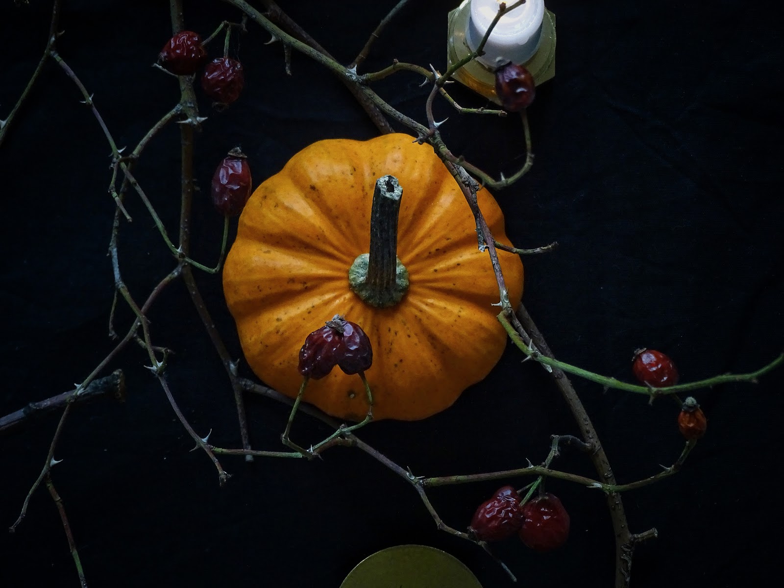 Halloween küsst Herbst - Herbstliche Tischdeko-Idee 'dark and moody' mit einem dezenten, edlen Hauch Halloween - https://mammilade.blogspot.de Halloween küsst Herbst - Herbstliche Tischdeko-Idee 'dark and moody' mit einem dezenten, edlen Hauch Halloween - https://mammilade.blogspot.de
