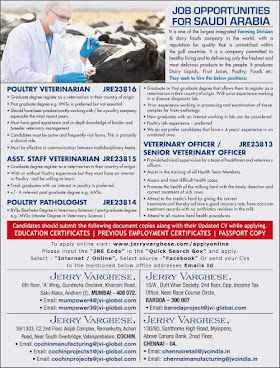 Gulf%2BJob%2BPaper%2B%252817%2529