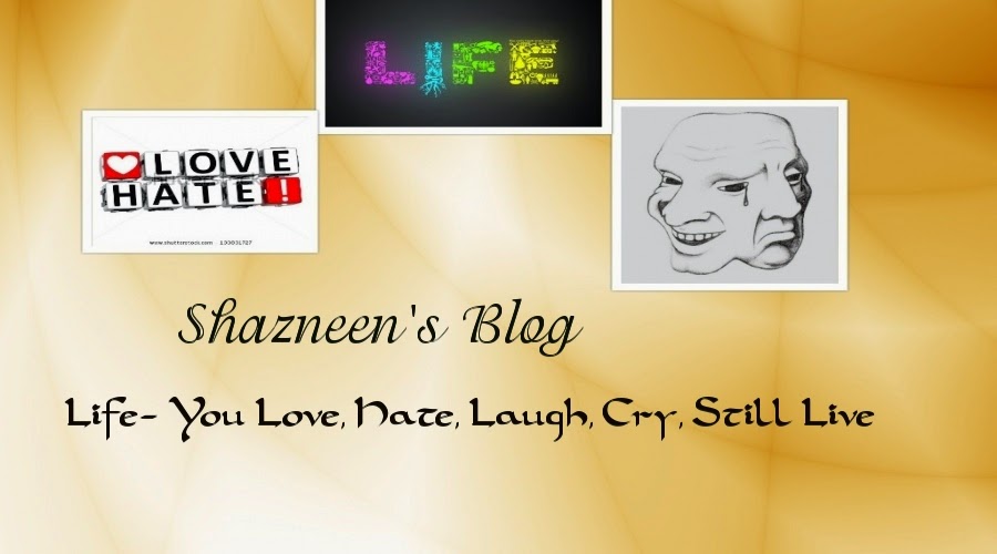 Shazneen's Blog 