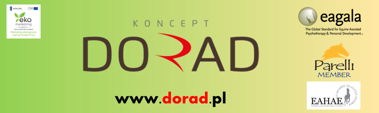 Koncept DORAD