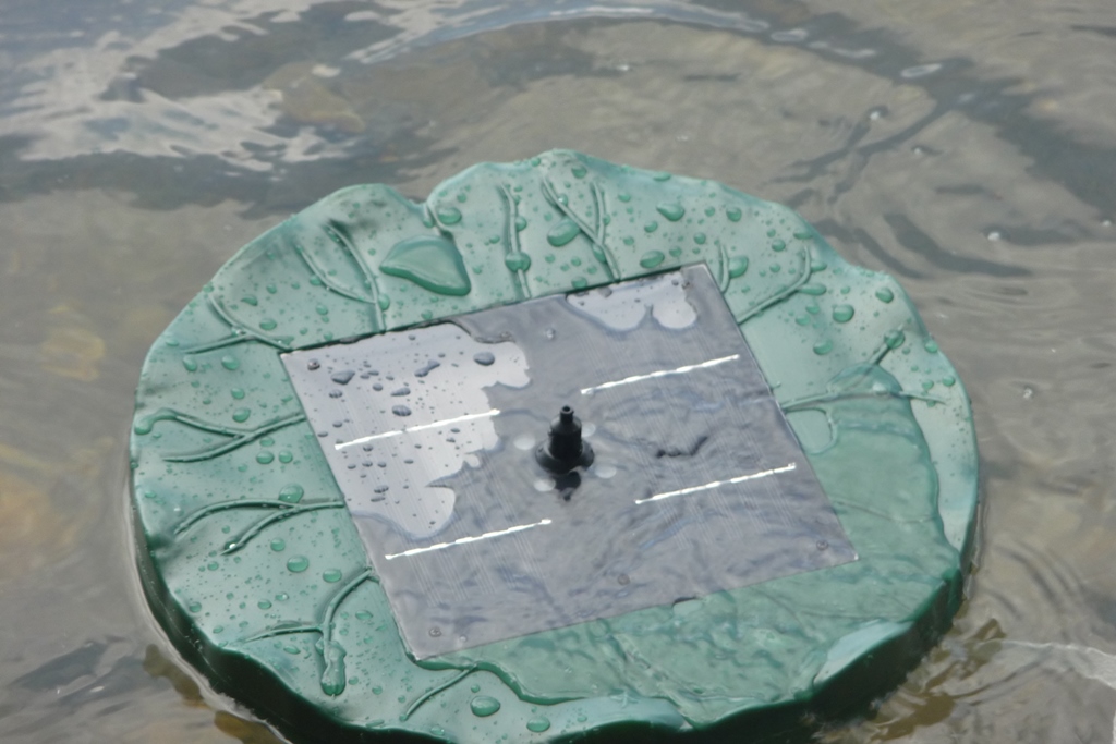 Mein Testblog Nicki testet den Duramaxx Sunfountain Garten Teich