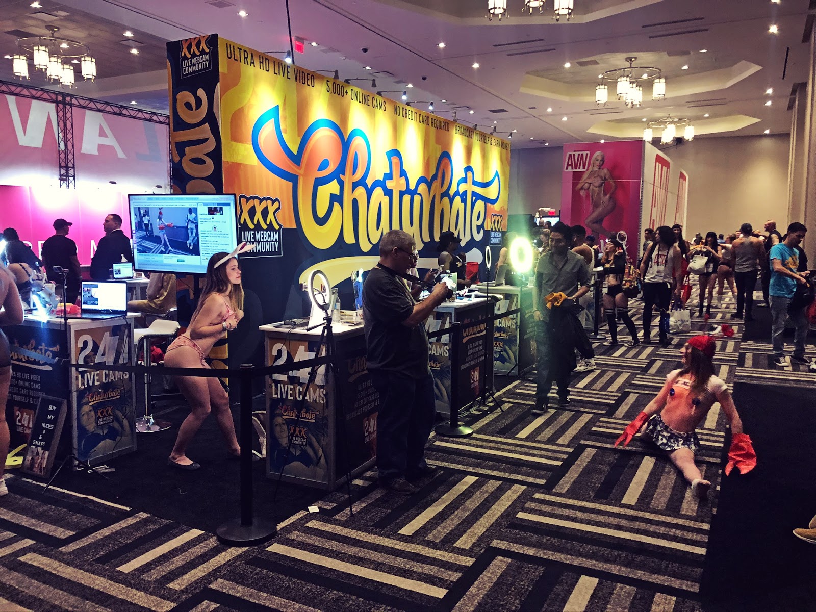 An Outsider Visits the AVN Adult Entertainment Expo