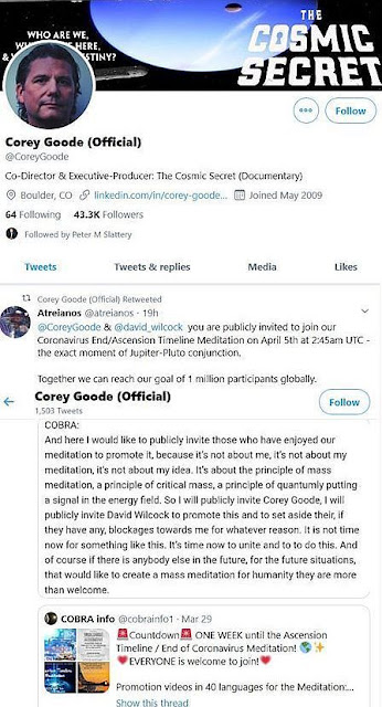 柯博拉专题|集体冥想访谈语录