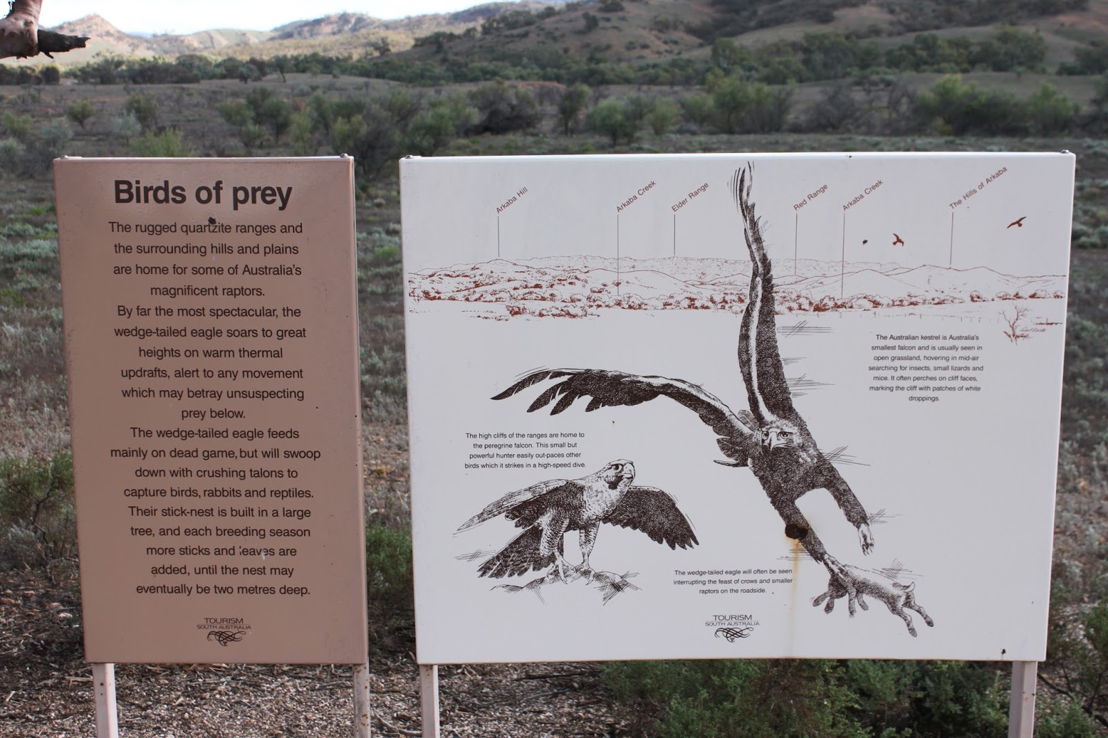 Covespot 4: Quorn, Hawker and Lower Flinders Ranges