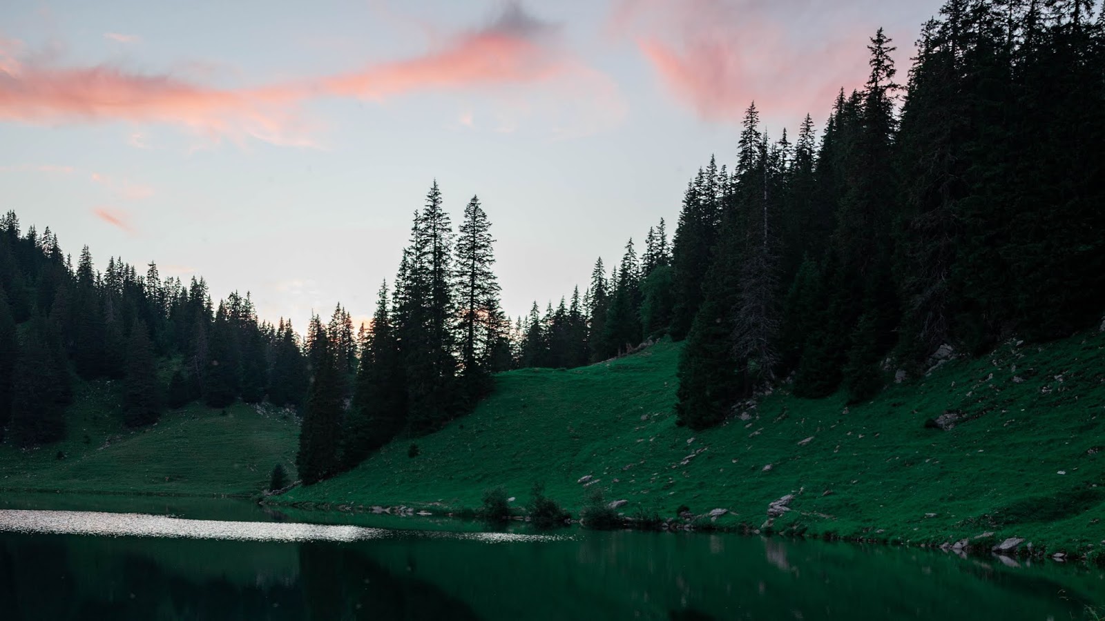 Wallpaper, Nature, Lake, Forest