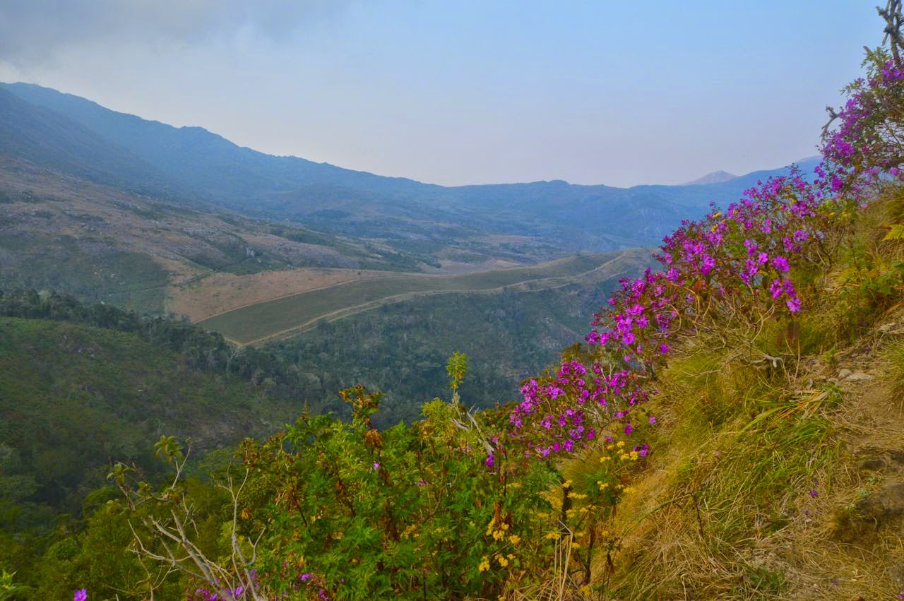 mount mulanje trekking last day valley of flowers