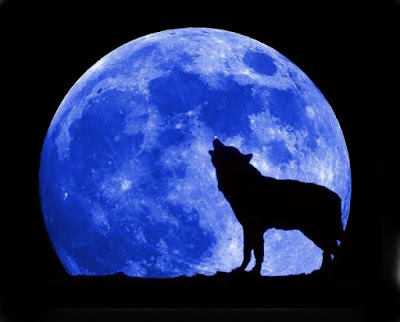 Blue-Moon-600x483