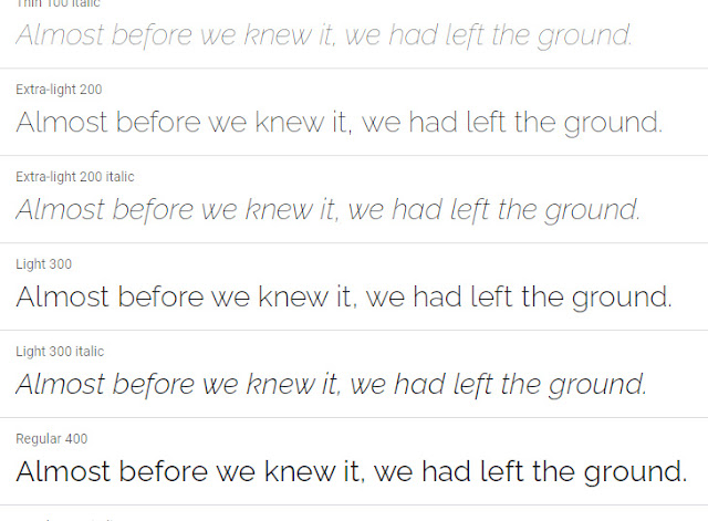 Raleway- Best Fonts For Blogs