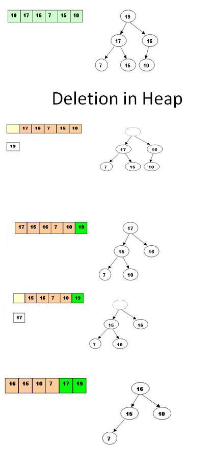 Algorithms are Omnipresent: Searching/Sorting Algorithm Tips