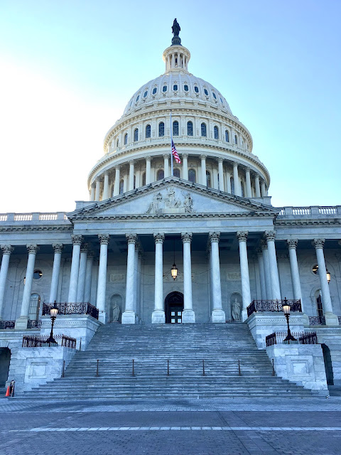 Washington DC is a great place to visit. The Capitol is a must-see