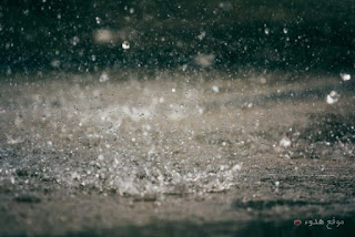 صور مطر, كلام عن المطر, مطر, صور, rain