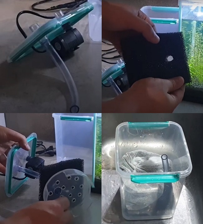 DIY Filter Aquarium