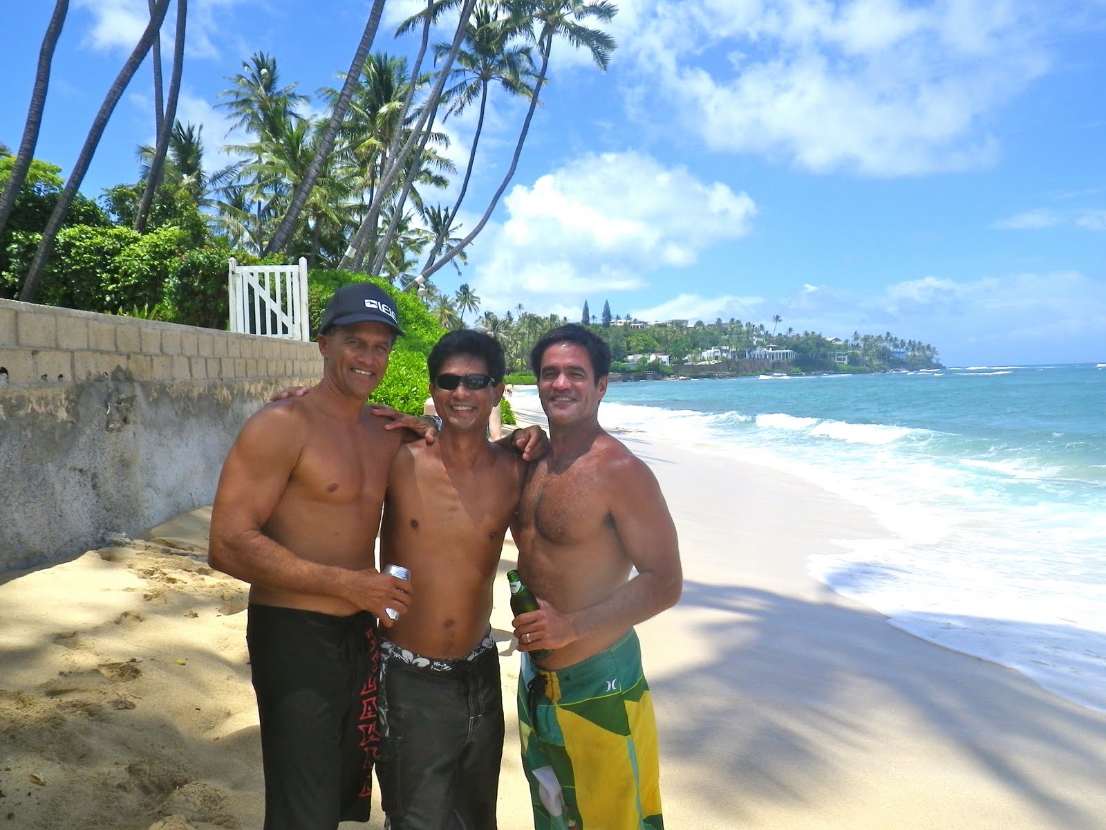 Psychedelic Waterfall: My Joe's 30th Punahou School Reunion