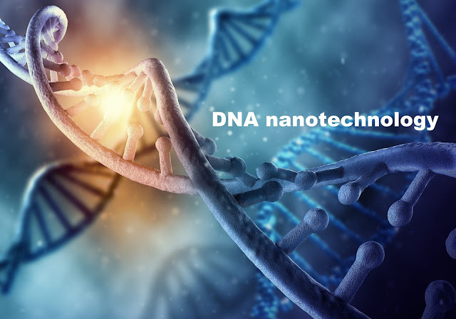 DNA nanoteknolojisi