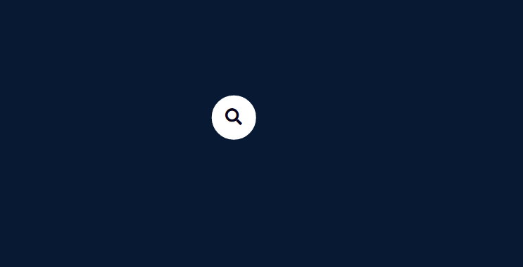 Animated Search Bar Using Only HTML and CSS 