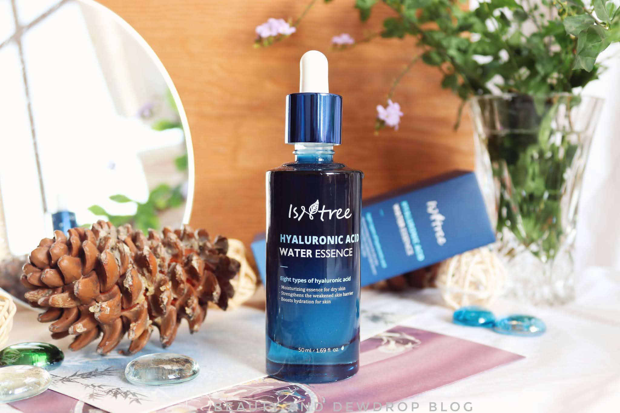 [Review] Isntree Hyaluronic Acid Water Essence Beauty & Dewdrop Blog