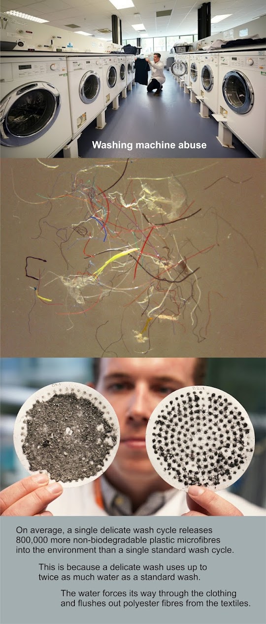 https://www.theguardian.com/environment/2019/sep/26/vicious-cycle-delicate-wash-releases-more-plastic-microfibres