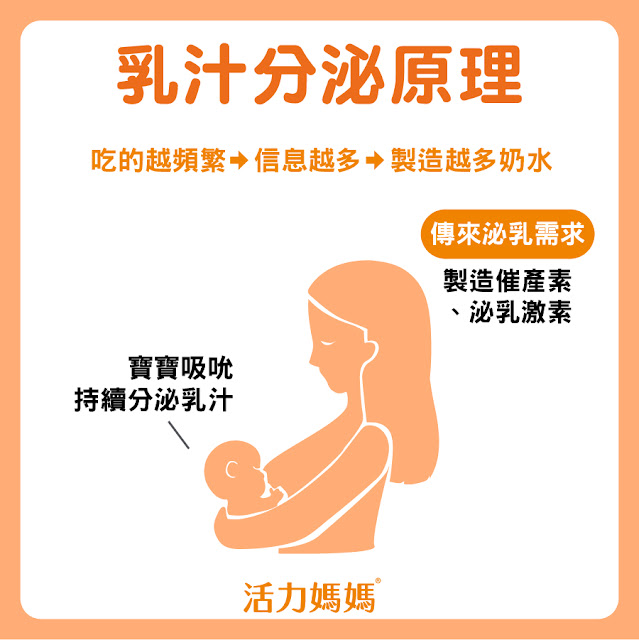 乳汁分泌原理 追奶 發奶