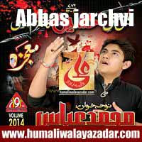 http://ishqehaider.blogspot.com/2013/11/abbas-jarchvi-nohay-2014.html