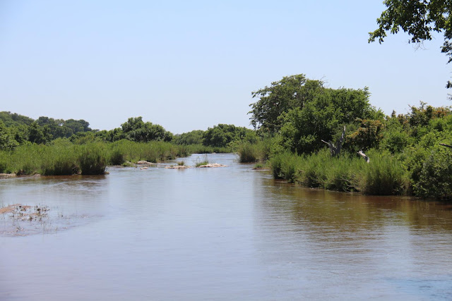 Blog Apaixonados por Viagens - Safári - África do Sul - Kruger Park