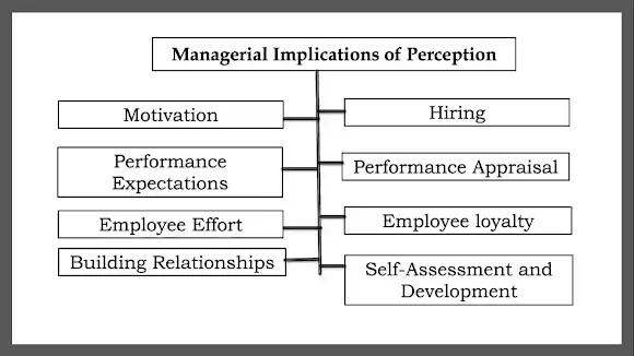 managerial implications of perception