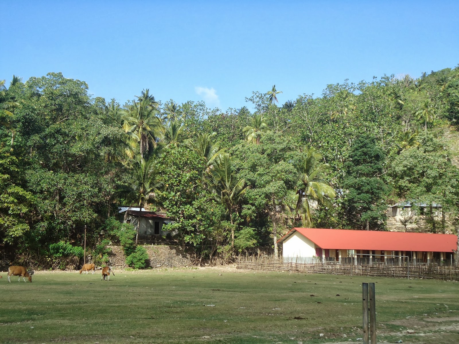 Iliomar Imagem Iliomar Vila