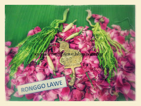 Ki Ronggo Lawe Raja Pelet Indonesia