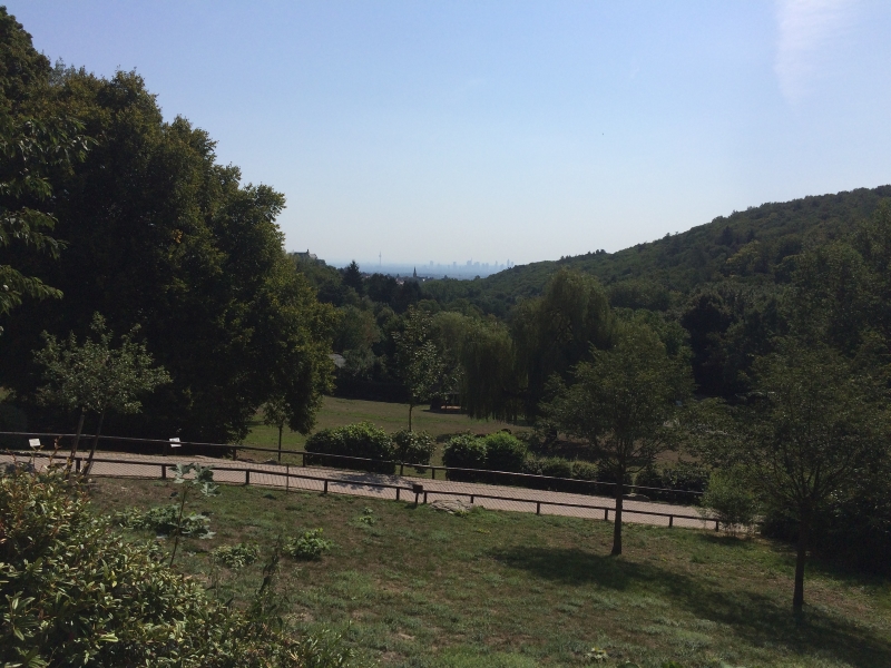 Perfect For Roquefort Cheese Lunchtime Safari Oder It Takes A Village