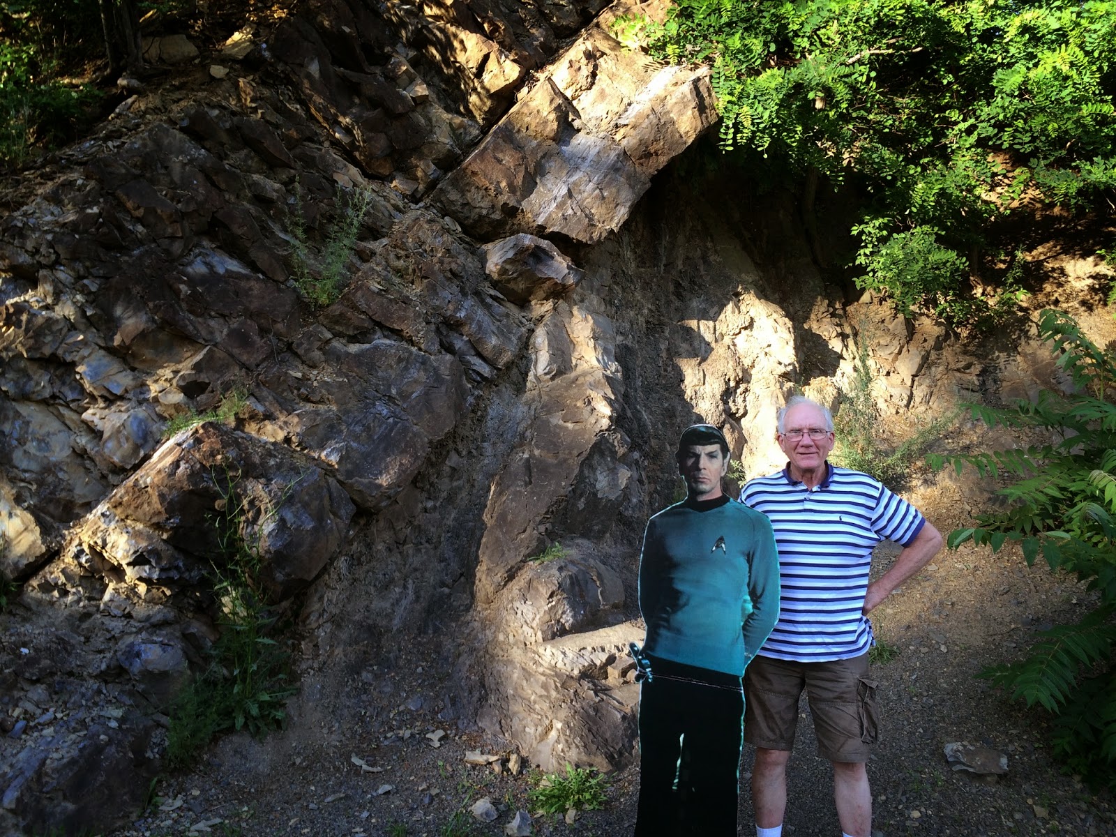 venturing4th Gilboa Forest