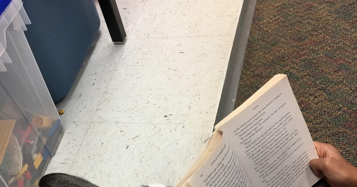 Rbes 5th Grade Reading